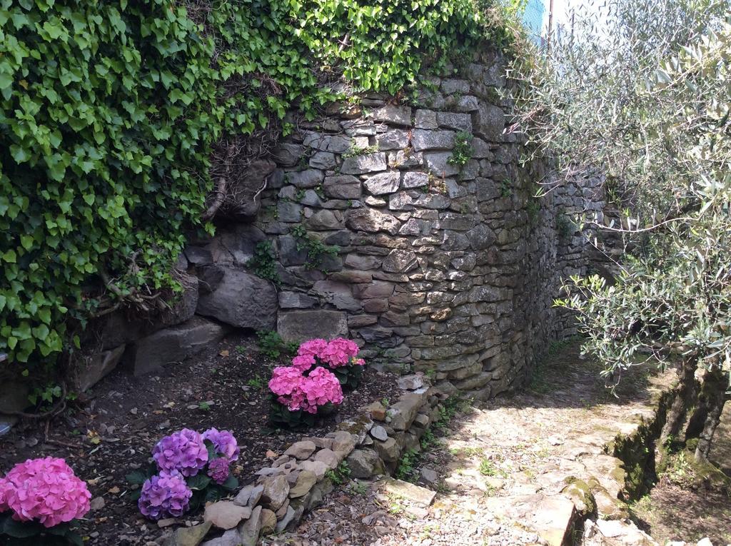 Casa Vacanze Ada Fiesole Extérieur photo
